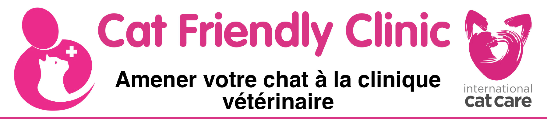 Amener son chat à la clinique vétérinaire