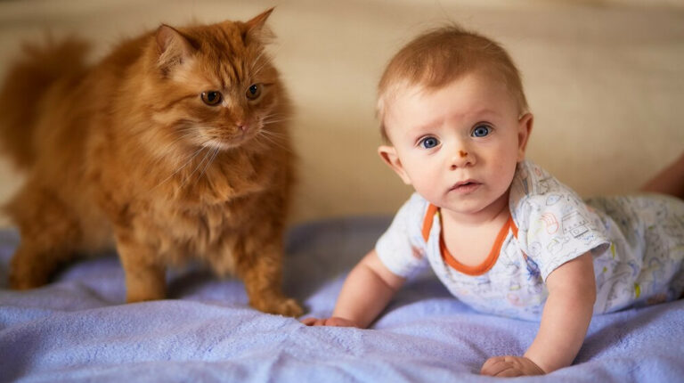 bébé avec un chat