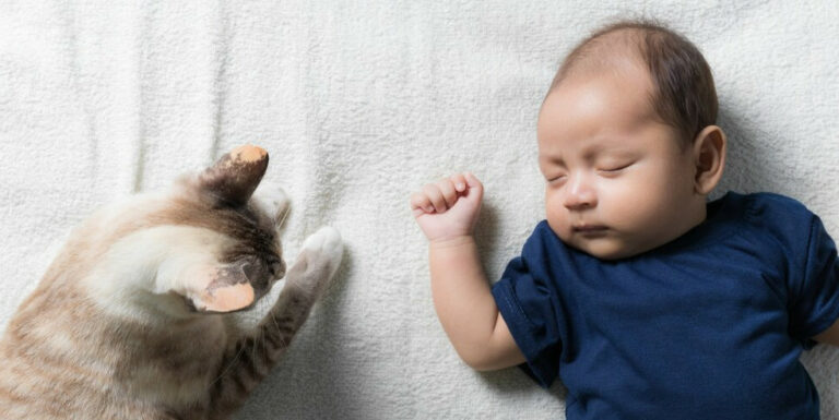 Nouveau né avec un chat
